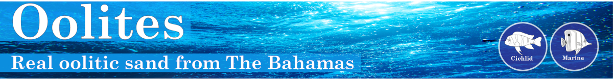 bahamas oolite review